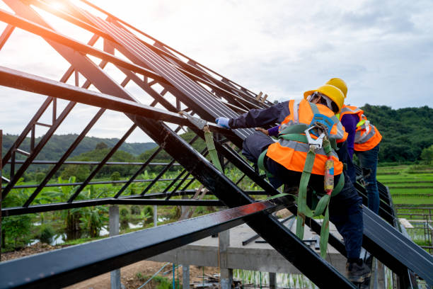 Best Metal Roofing Contractor  in Coloma, MI