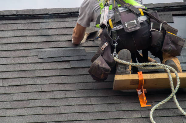 Best Emergency Roof Repair  in Coloma, MI