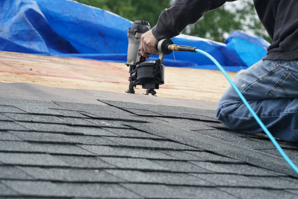 Best Storm Damage Roof Repair  in Coloma, MI