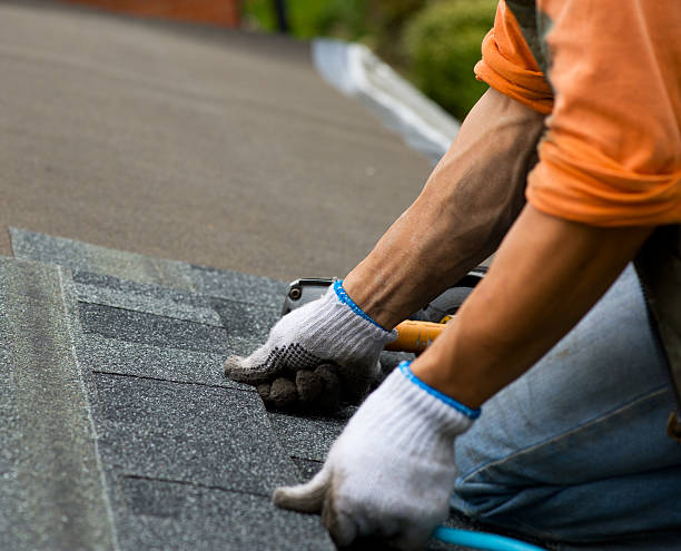 Best Storm Damage Roof Repair  in Coloma, MI